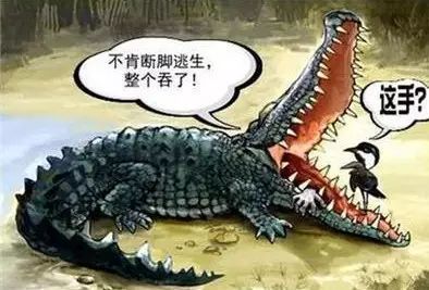 [value:title]