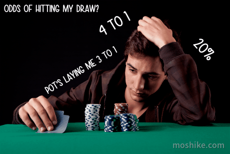[value:title]